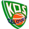 塞洛维茨队徽