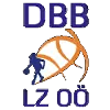 DBB林兹威尔斯女篮队徽