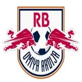 RB大宫松鼠队徽